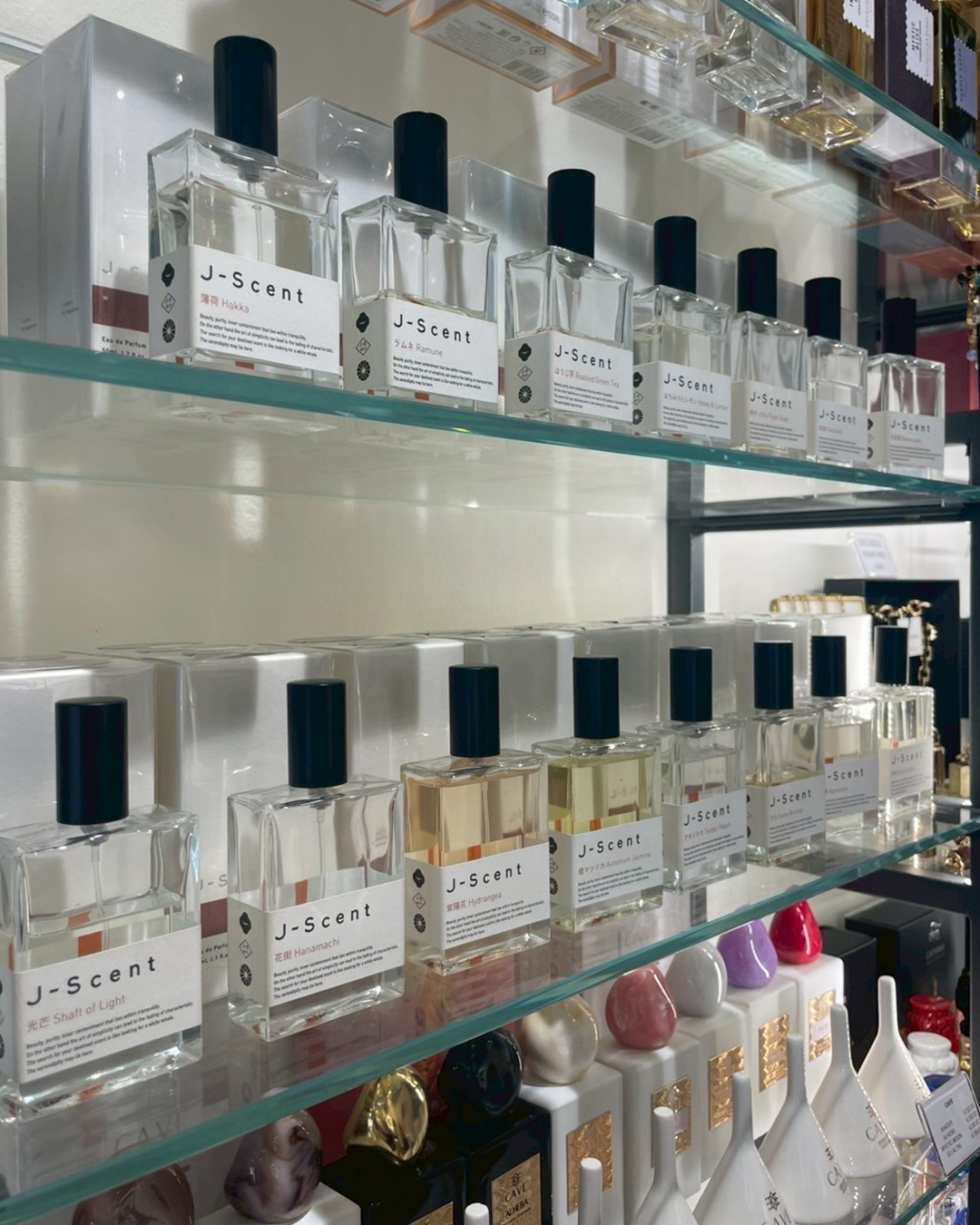 Cavour11DKに並ぶJ-Scent