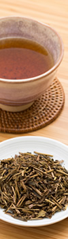 Roasted Green Tea ほうじ茶