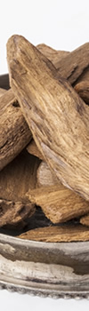 Agarwood 沈香