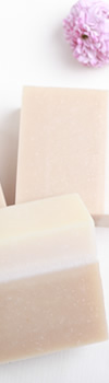 Paper Soap 紙せっけん